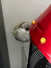 Cage-Box Toilet-Hamster Acrylic-House Sand-Room Bath Mouse-Gerbille Small Pet-Supplies