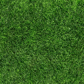 

Background for photo photobackground green grass size 50 х50 cm photo studio home предметная shooting