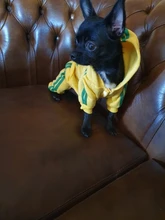Traje para mascotas pequeñas y medianas, mono para cachorros, ideal para bulldog francés, chihuahua o pug