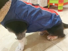 Chaqueta de perro pequeño para invierno, chaleco impermeable para cachorro, ropa para mascota de algodón caliente, atuendo para perros pequeños y medianos