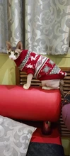 Antumn-ropa de invierno para gatos abrigo de suéter Katten para perros, disfraz de gato para perros pequeños, Chihuahua, Pugs, Bulldog francés