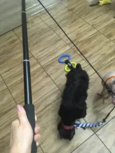 Pets Toys Interactive Dog Toys Extendable Flirt Pole Funny Chasing Tail Teaser And Exerciser