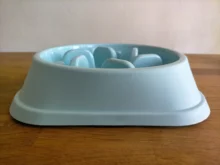 Dish Food-Bowls Eating-Feeder Puppy Bowel Feeding Slow-Down Dogs-Supplies Prevent Pet-Dog