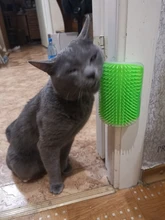 Cepillo de masaje de esquina para gatos, cepillo peine con hierba de gato, Rubs de la cara con peine de cosquillas, productos para mascotas