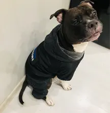 Dog-Coat Winter HOOPET for Dogs Clothing Warm Christmas Big