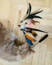 Cat-Stick Toys-Set Teaser Funny Kitten Training-Rod Pet-Supplies Exercise Pets Retractable