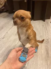 Zapatos antideslizantes para perros, calcetín de punto, Gato pequeños, Chihuahua, grueso, cálido, Protector de pata, calcetines de perro, botines, accesorios de invierno