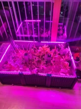 LED Grow Light 220V Full Spectrum LED Bar Lamp for Plants High Luminous Efficiency 8W