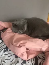 Jumpsuits Snowboarding-Clothes Snow-Overalls Hooded Skiing Waterproof Sport Winter Women