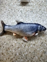 Usb-Charger Fish-Cat-Toy Chew Moving Funny Electric Kitten-Plaything-Supplies Bite Simulation-Wagging