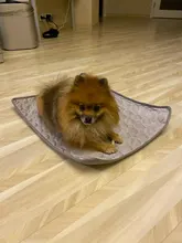 Alfombra refrescante para verano para mascotas, cama para perros, manta transpirable para perros, almohadilla de hielo para mascotas, cojín antiadherente para perros pequeños y medianos