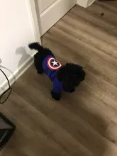 Ropa con estampado de dibujos animados para perro, abrigo cálido para invierno, chaqueta para perros pequeños, Chihuahua, Bulldog Francés, disfraz de peluche, ropa para mascotas