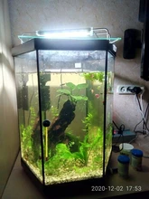 Led-Lighting Aquarium Chihiros Fish-Tank Aquatic-Plant Sunsun Ade Nicrew SMD 18W 220V