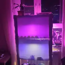 Phyto-Lamp Seedling Flower-Growth Cob-Chip Indoor-Plant Full-Spectrum AC220V 10W 20W