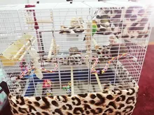 Juguete de percha para pájaros de colores, cuerda de tela de algodón para loros, lámpara tipo jaula para Bar, soporte en espiral con campana, suministros para pájaros, juguete para mascotas, novedad