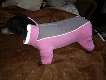 Winter Overalls for Dogs Warm Waterproof Pet Jumpsuit Trousers Male/ Female Dog Reflective