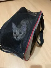 Dog-Carrier-Bags Travel Portable Pet-Bag Pets-Handbag Linen Cloth Soft-Sided Outgoing