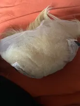 Short Bob Wigs Human-Hair Lace 613 Blonde 13x5 Ali-Annabelle Brazilian Pre-Plucked Straight