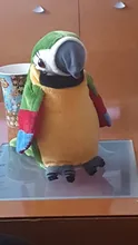 Peluche de loro parlante eléctrico para niños, juguete de peluche de pájaro parlante con alas que se repiten, regalo para niños