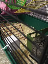 Cage-Accessories Hamster Calcium-Chew-Toy Mineral-Stone Teeth-Grinder Guinea-Pig Parrot