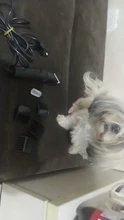 Pet-Hair-Clipper Grooming-Animals Professional Electric Dog Cat Ac High-Power New