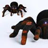 Upgraded 24CM Big Size Electric Remote Control Spider Funny Toys 4CH Eyes Glow Walking Turn Simulation RC Tarantula Spider Toy 4