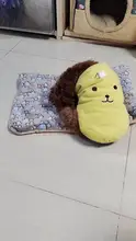 Colchón para perros y mascotas de invierno, mantas gruesas de felpa cálida, perreras de dibujos animados para mascotas, colchón de Bulldog Francés Chihuahua