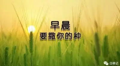 日祷记丨神啊，我愿放下自己，全然跟随你，结出美好的果实！（2019.3.27）