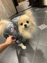 Ropa de invierno para perros pequeños, abrigo cálido para cachorros, chaqueta impermeable con capucha, monos para Chihuahua y Yorkie