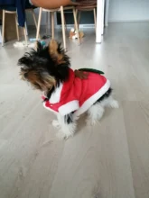 Halloween-Costume Christmas-Dog Hoodies Dogs-Coat Small Chihuahua Winter for Cat