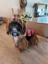 Chaleco Salvavidas para perro, chaqueta Salvavidas para mascota, ropa de seguridad, traje de baño para mascotas, Chaleco de seguridad para verano