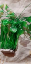 Aquarium Decorative Grass-Plant Fish-Tank Simulation PVC Environmental-Protection-Materials