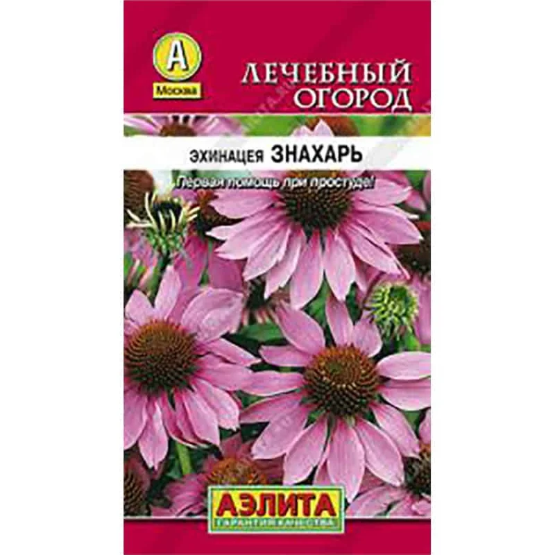 Seeds echinacea purple nobleman | Дом и сад