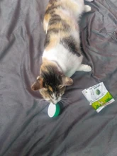 Natural Catnip Toys For Cats Crazy Healthy Cat Toys For Kitten Edible Treating Cleaning