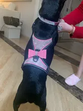 Pet-Supplies Harnesses-Vest Dog-Accessories Pitbull Dogs Reflective Pug Bling Medium