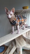 Ropa con patrón de moda para gatos, Linda sudadera de Reno para gato Sphinx, disfraz cálido de invierno para Kindi, sudadera de tejido de punto Mascotas