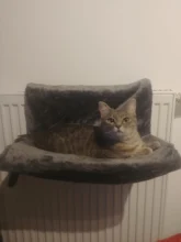 Pet Cat Animal Hammack Luxury Radiator Bed Hanging Winter Warm Fleece Basket Fleece