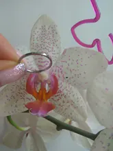 Anillo de titanio y acero fino para hombre y mujer, anillo de dedo de color dorado, rosa, moda Simple, Color plateado, 1MM