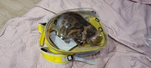 Bolsa de transporte portátil para perros y gatos, cápsula espacial transpirable, bolsa de viaje para astronauta, mochila transparente para mascotas pequeñas para exteriores