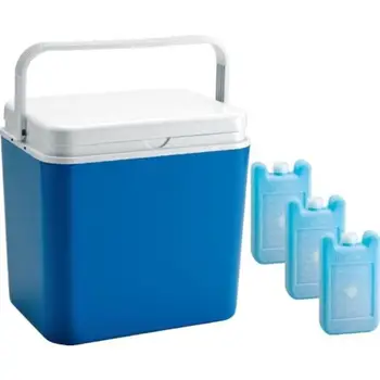 

Insulated container 30 L with 3 batteries of cold Linea sphere (5103) Green Glade