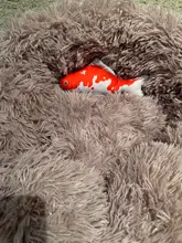 Pet Soft Plush Creative 3D Carp Fish Shape Cat Toy Gifts Catnip Fish Stuffed Pillow Doll