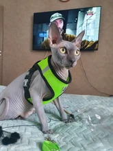 Cat-Harness Leash Mesh Bulldog Cats Small Dog Kitten Chihuahua French Breathable Nylon