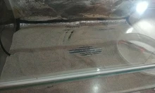 Almohadilla de calor caliente para mascotas 5W/15W/25W/35W 220V estera de calefacción regulador ajustable de temperatura para serpientes tortuga lagarto araña EU