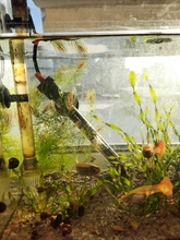 Bucket AQUARIUM-FILTER Sunsun Hw-602b/hw-603b External Ultra-Quiet