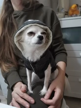 Pet-Dog-Clothes Jackets Coat Pets-Products Puppy-Cat-Clothing Pug-Outfits Small Dogs
