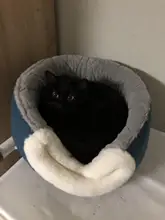 Bed Kennel Cat-House Hoopet Cave Home Dog-Puppy Warm for Teddy