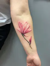 Ambition-fuente de alimentación inalámbrica para máquina rotativa, fuente de alimentación RCA, Audio, interfaz DC, adaptador de descuento, carga rápida