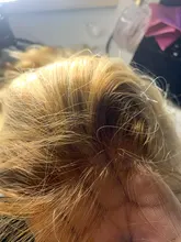 Nadula-pelucas de cabello humano Rubio degradado, peluca completa de encaje prearrancado con pelo de bebé, peluca con malla Frontal 13x 4/360, peluca Frontal de encaje T4/613