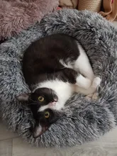 Dog-Bed House Sofa Cushion Cat-Mat Pet Labradors Round Plush Large for Best Wholesale