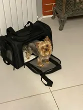 Dog-Carrier-Bag Travel-Bags Dog-Backpack Transport Soft-Side Airline-Approved Cats Small